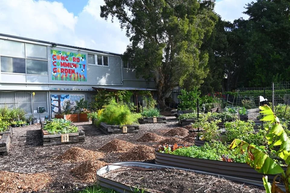 From Balcony to Backyard: Growing a Habitat Garden at Concord Community Garden
