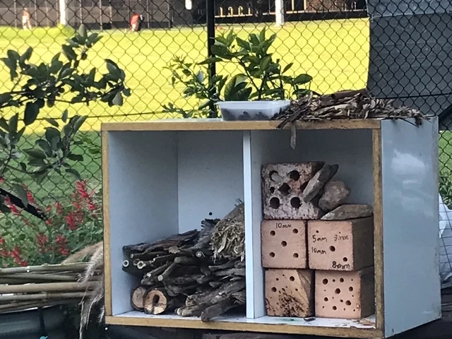 Grandparents and pre-schoolers: In the garden at Concord Community Garden