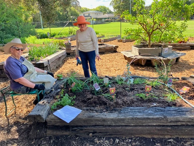 Christmas gathering and working bee at Concord Community Garden